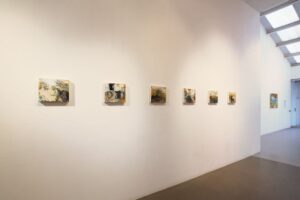 Edgelands exhibition at APT Gallery London Installation shot of Edgelands exhibition at APT Gallery London (Nov. 2016)