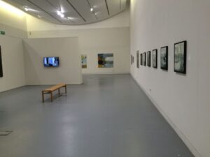 Edgelands exhibition at Aberystwyth Arts Centre Installation shot of Edgelands exhibition at Aberystwyth Arts Centre (Jan 2017)